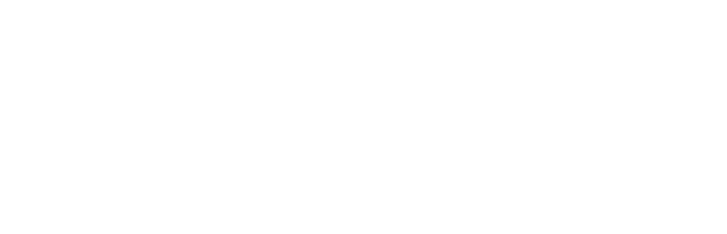 Rev Seguros